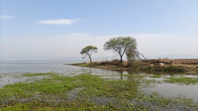 कोपरा जलाशय- स्थानीय समुदाय और महिला समूहों के सहयोग से बनेगा आदर्श इको-टूरिज्म स्पॉट