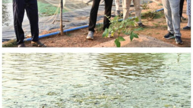 मत्स्य संपदा योजना से पुरुषोत्तम के एक्वा हब ने बदली केकराखोली की सूरत