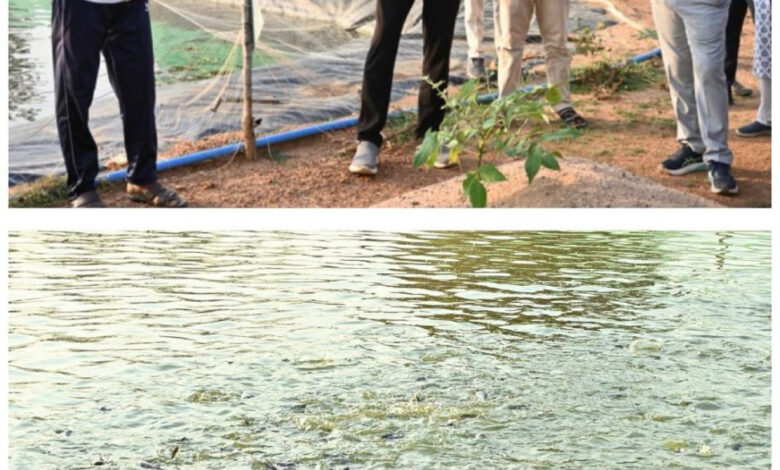 मत्स्य संपदा योजना से पुरुषोत्तम के एक्वा हब ने बदली केकराखोली की सूरत मत्स्य संपदा योजना से पुरुषोत्तम के एक्वा हब ने बदली केकराखोली की सूरत