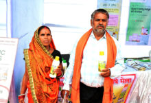 नैनो डीएपी से बदल रही खेती की तस्वीर
