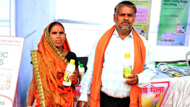 नैनो डीएपी से बदल रही खेती की तस्वीर