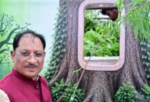 आज लगाया गया हर पौधा आने वाली पीढ़ियों के सुरक्षित भविष्य का आधार बनेगा : मुख्यमंत्री श्री विष्णुदेव साय