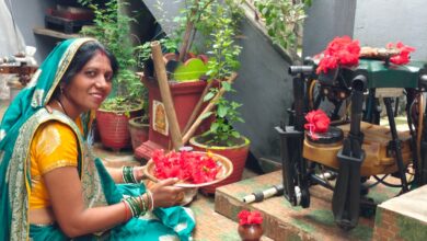 हरेली पर बालोद में परंपरा और आधुनिकता का अनूठा संगम