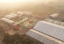 बस्तर के लालबाग में वनोपज से सजी 20,700 वर्गफीट की भव्य रंगोली ने रचा विश्व रिकॉर्ड, राष्ट्रपति श्रीमती द्रौपदी मुर्मु ने किया अवलोकन